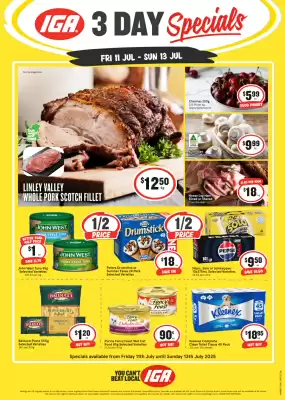 IGA catalogue (valid until 13-07)