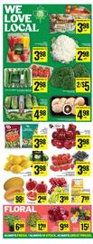Food Basics flyer week 28 Page 7