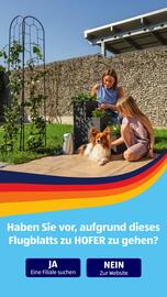 Hofer Flugblatt woche 28 Seite 41