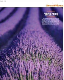 Waitrose leaflet week 28 Page 9