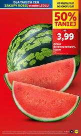 Lidl gazetka Strona 15
