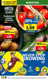 Lidl gazetka Strona 24