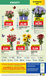 Lidl gazetka Strona 61