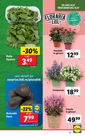 Catalog Lidl săptămâna 29 Pagină 15