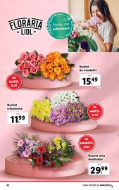 Catalog Lidl săptămâna 29 Pagină 62