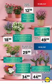 Catalog Lidl săptămâna 29 Pagină 63