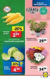 Catalog Lidl săptămâna 29 Pagină 73