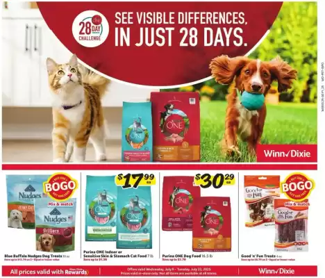 Winn Dixie Weekly Ad (valid until 23-07)
