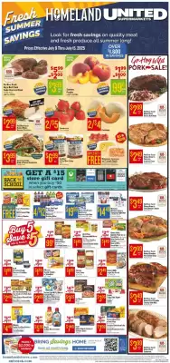 Homeland Market Weekly Ad (valid until 16-07)