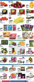 Big Y Weekly Ad week 28 Page 13