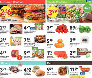 Cash Wise Weekly Ad week 28 Page 2