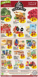 Farm Boy flyer week 28 Page 1