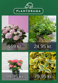Plantorama tilbudsavis Side 5