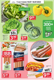 Selgros gazetka tydzień 28 Strona 3