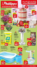 Thomas Philipps Flugblatt woche 29 Seite 1