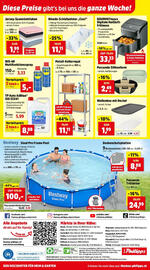 Thomas Philipps Flugblatt woche 29 Seite 8