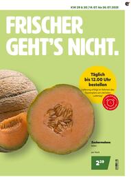 Eurogast Grissemann Flugblatt Seite 3