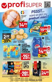Catalog PROFI Pagină 1