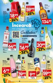 Catalog PROFI Pagină 11