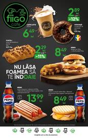 Catalog PROFI Pagină 17