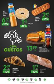 Catalog PROFI Pagină 18
