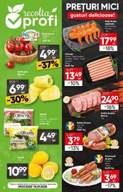 Catalog PROFI Pagină 4