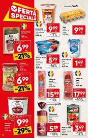 Catalog PROFI Pagină 6