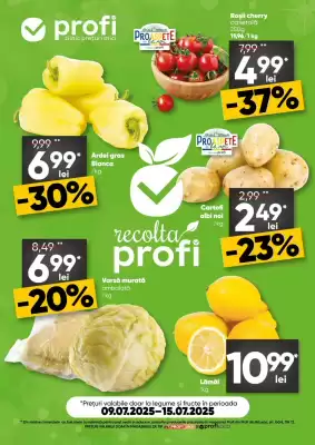 Catalog PROFI (valid până la 15-07)