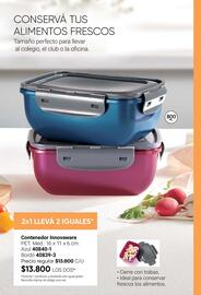 Catálogo Avon Página 106