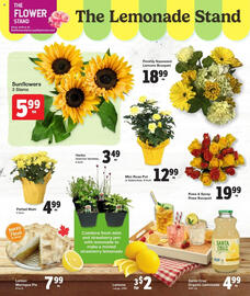 Quality Foods flyer week 28 Page 5