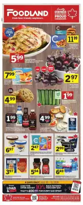 Foodland flyer (valid until 16-07)