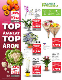 Kaufland SK akciós újság hét 28 Oldal 7