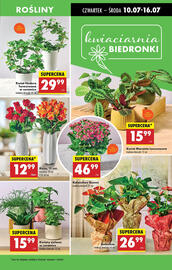 Biedronka gazetka tydzień 28 Strona 19