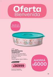 Catálogo Tupperware Página 100