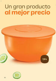 Catálogo Tupperware Página 33