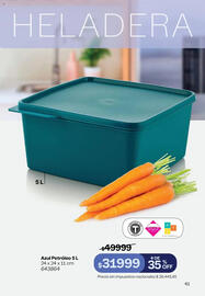 Catálogo Tupperware Página 42