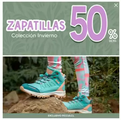 Catálogo Ficcus (válido hasta 24-07)