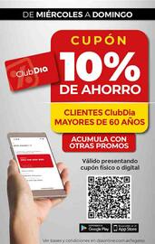 Catálogo Supermercados DIA semana 28 Página 7