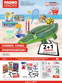 Pagro Diskont Flugblatt woche 28 Seite 1