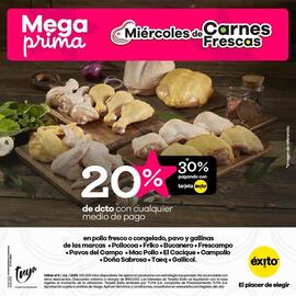 Catálogo Éxito Página 2