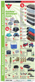 Canadian Tire flyer week 28 Page 19