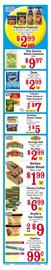 Discount Drug Mart Weekly Ad Page 4