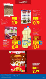 Catalogue Lidl semaine 29 page 13