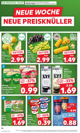 Kaufland Prospekt woche 28 Seite 36