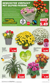 Kaufland Prospekt woche 28 Seite 25