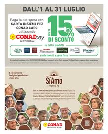 Volantino Conad City settimana 28 Pagina 8