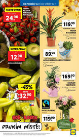 Lidl leták Strana 9