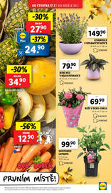 Lidl leták Strana 11