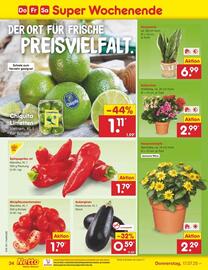Netto Marken-Discount Prospekt woche 29 Seite 52