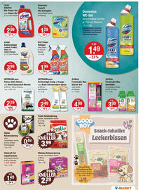 V Markt Prospekt woche 29 Seite 15